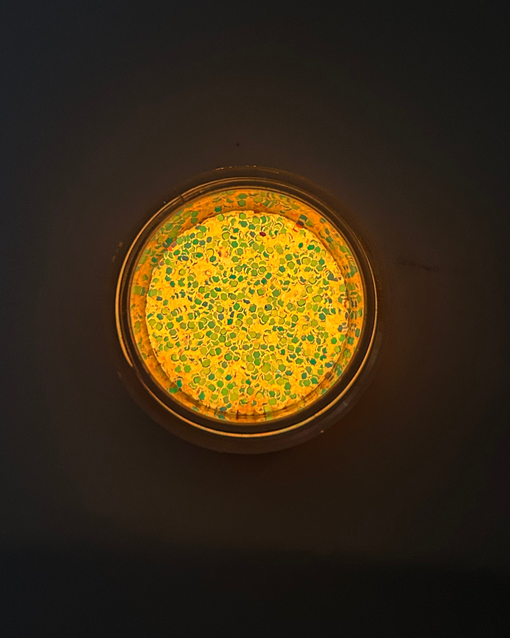 GID Chameleon Flakes - Glo-05